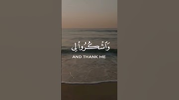 آية وتلاوة.. #قرآن_كريم #تلاوات #ترند #تلاوة_خاشعة #آيات #قرآن #قران_كريم