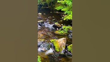 بداية سورة الكهف❤️القارئ هشام الهراز@مجيدوchanel