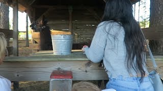 FIRST TIME AT THE PUMPKIN PATCH!