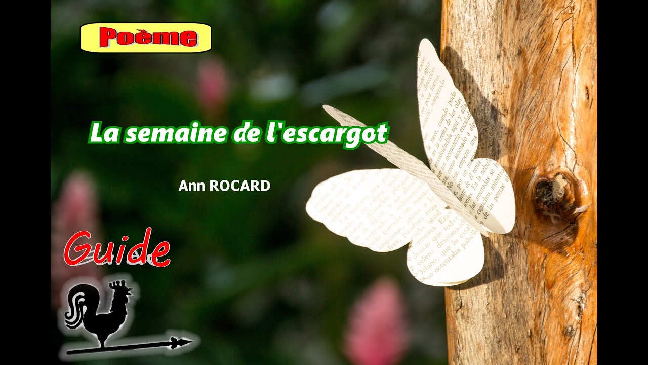 Poème | La semaine de l'escargot | Ann ROCARD - YouTube