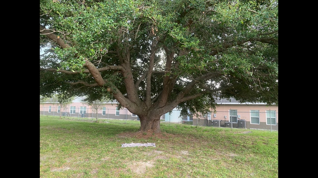 موقف الاهل من اخطاء ابنائهم 🥺 آمال الحبيب