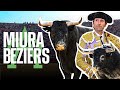 Toros de miura en bziers  3 das de toros en francia parte 3