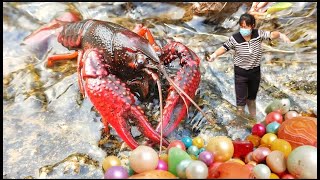 Red crayfish guard the pearl oysters. We hunt for pearls in the mountains.
