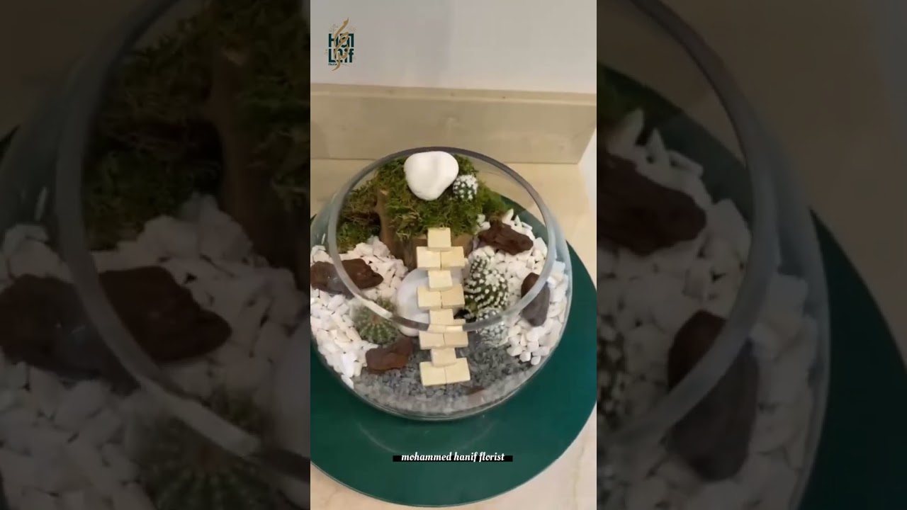 “Real Cactus, Real Charm: A Living Terrarium in Minutes” 