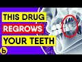 Scientists Discover Drug That Fixes Cavities & Regrows Teeth