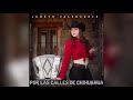 Janeth Valenzuela- Por las calles de Chihuahua (Audio)