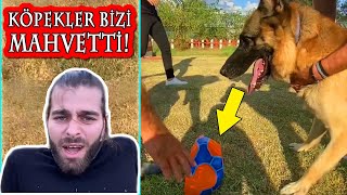 BALL FIGHT AGAINST DOGS! A Rottweiler & a German Shephard try to get the ball from us! #inanoğlu