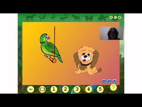 Цифровые инструменты в работе педагога дошкольного образования