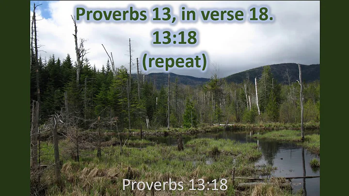 Proverbs 13:18,Poverty and shame shall be to him that refuseth instr.,KJV singalong w lyrics,Dm