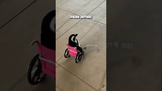 Mashup 68 🎥: sarahmacdude (IG) / rosiegunn1 (TT) / picklespinguino (TT) / avagroupinc (IG) #shorts