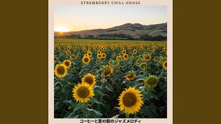 Sunlit Stroll Serenade