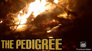 Understanding The Pit Islands Red Boy Jocko Dogsthug And Thor