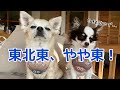 今年の恵方は東北東！やや東！