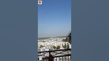 Bird Net installation Near me| Bird Net for balcony,Pigeon Control Ne| Anti bird net in Gurgaon