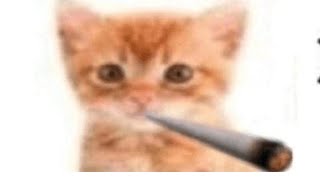 видео: чота делаю | розыгрыш лун в тг ky_lema | !команды картинка: чота делаю | розыгрыш лун в тг ky_lema | !команды