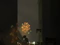 DISCOVER TOKYO COLORFUL FIREWORKS SUMIDAGAWA RIVER 2024#shorts #fire #work #japan #sky #travelvlog