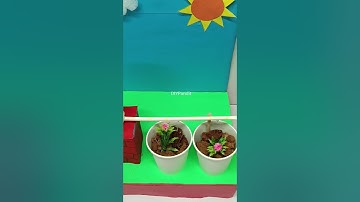 drip irrigation working model - diy - diypandit - shorts | DIY pandit