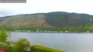 Holy Loch and wildlife  Dunoon Scotland