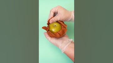 Easy Caramel Apple Wraps | Shop: https://www.countrykitchensa.com/