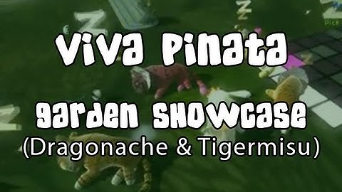 Dorkfeast Viva Pinata Trouble in Paradise Dragon and Tigermisu Gardens!