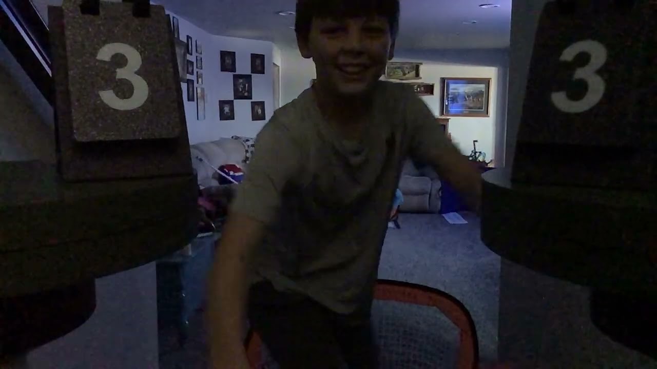 Mini sticks new guest