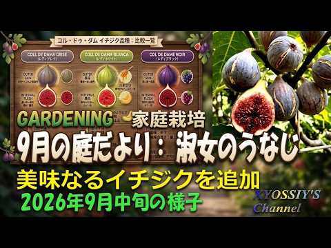 XYOSSIY's Fruit Tree Channel] Purchasing Coll de Dama Grise, One
