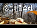 [백색소음 ] 겨울 숲속 바람소리 자연의소리 3시간