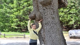 ПОДБОРКА ПРИКОЛОВ 2018 😂😂😂...