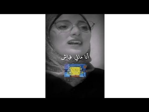 Ana Mali Fiyach ( lyrics video official )