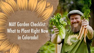 🌱 What to Plant in May in Colorado 🌸 | Zone 5 Gardening for Beginners