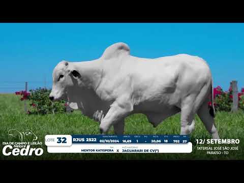 Lote 32   RJUS 2522