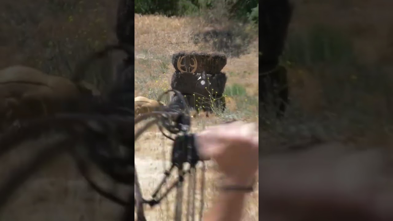 🏹Texas heart shot on STEEL DEER 🦌 