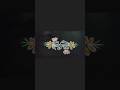 borders // // border rangoli // // gadapa borders // // border rangoli with colours