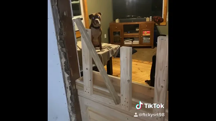 Ottuso is a very motivated pup.