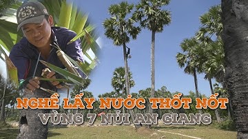 VÀO MÙA NGHỀ LẤY NƯỚC THỐT NỐT Ở VÙNG BẢY NÚI AN GIANG | HAI LÚA TV