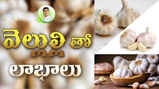 Garlic Benefits of Health | Health Facts | Manthena Satyanarayana Raju Videos