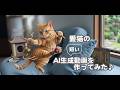 愛猫まる子の写真をAIで短い動画にしてみた♪