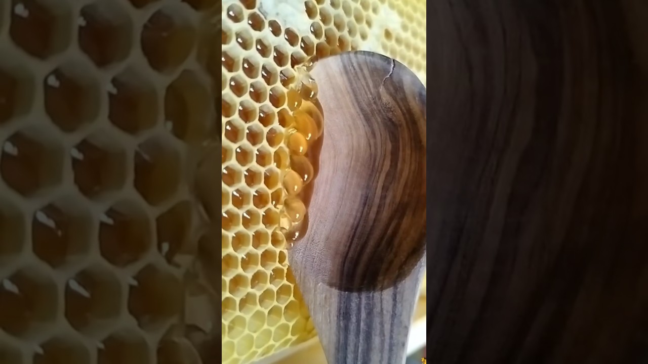 Perfect satisfying photos…😴 