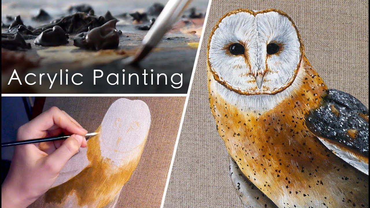 Acrylic Painting of a Barn Owl YouTube