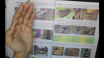 DAV Class -5 (My Living World) Ch-3 Forests (Importance of Forests, Forest Products) Part-2