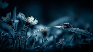 Deep Sleep Piano Music ~ Gentle Rain Sounds for Calm Night Relaxation &amp; Study