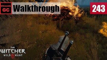 The Witcher 3: Wild Hunt [#243] - The Things Men Do For Coin... || Walkthrough