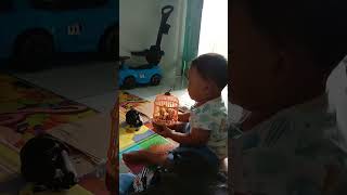 Mainan Kandang Burung