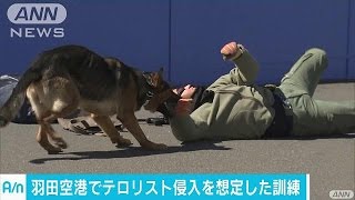羽田空港　警視庁が燃料施設でテロ対処訓練(17/03/10)