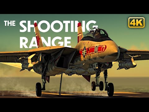 THE SHOOTING RANGE #307: Tomcat in Danger Zone / War Thunder