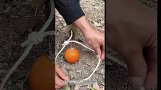 How to Build a Traditional Tension Trigger System #worker #process #bushcraft #survival #outdoors