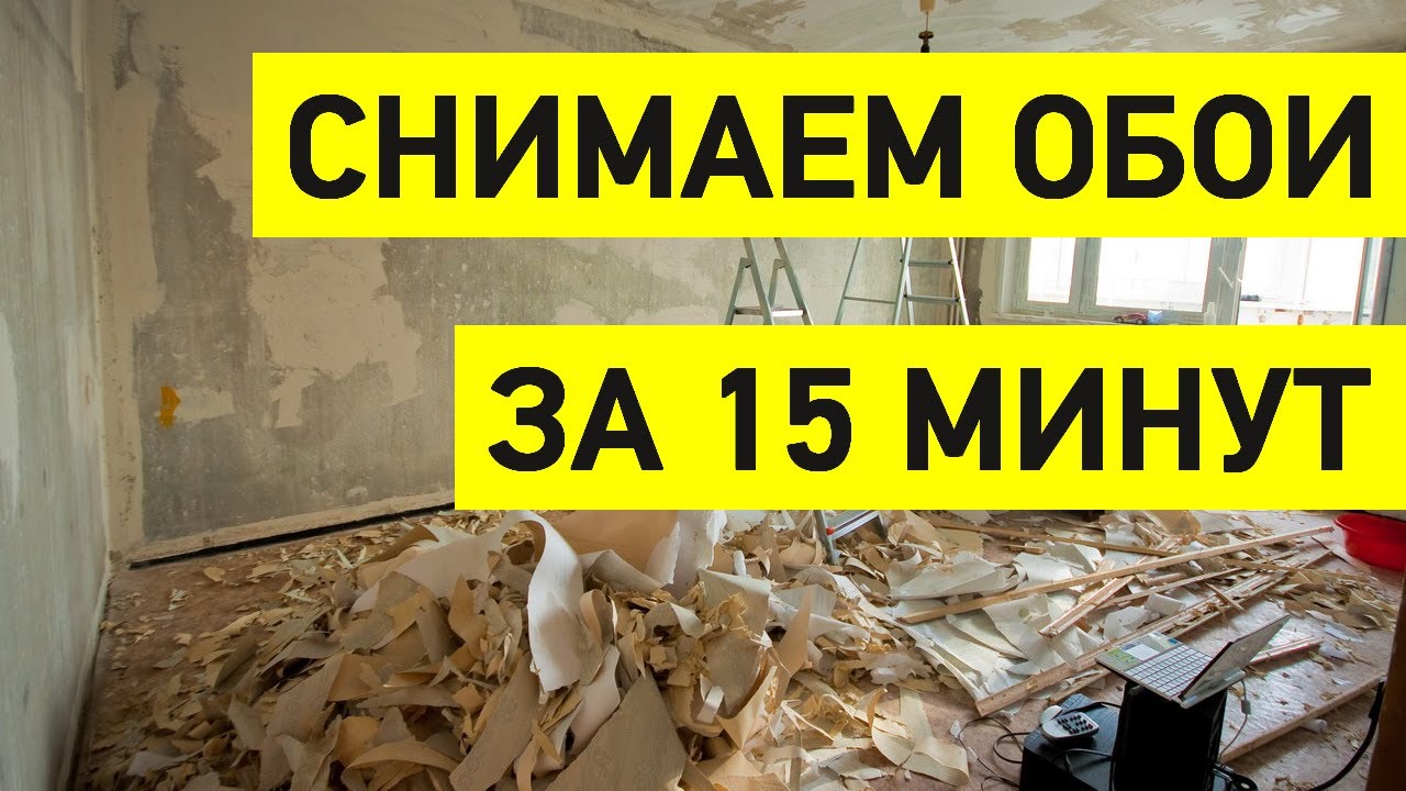 Руководство для начинающих: удаление бумажных обоев стало проще