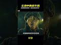 這只公雞太神啦!鷓鴣哨如何馴服神雞,激戰千年古墓深處的恐怖巨獸?臺灣鄉民都在看! #电影 #电影解说 #影视 #影视解说 #剧情