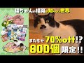【年末年始の総決算！】猫ちゃんの福箱2025！誰もが欲しい商品が超お得になっています！！【猫ちゃんの福箱の知らない世界】