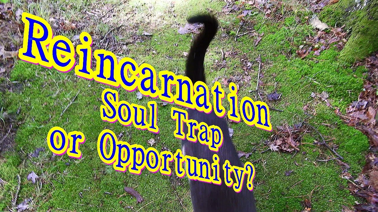 Reincarnation - A Soul Trap or a Ladder?